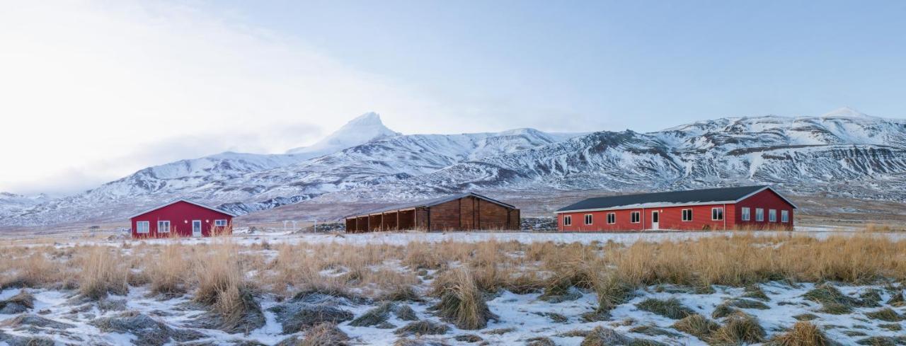 Álfheimar Hotel Borgarfjörður Eystri Exterior foto